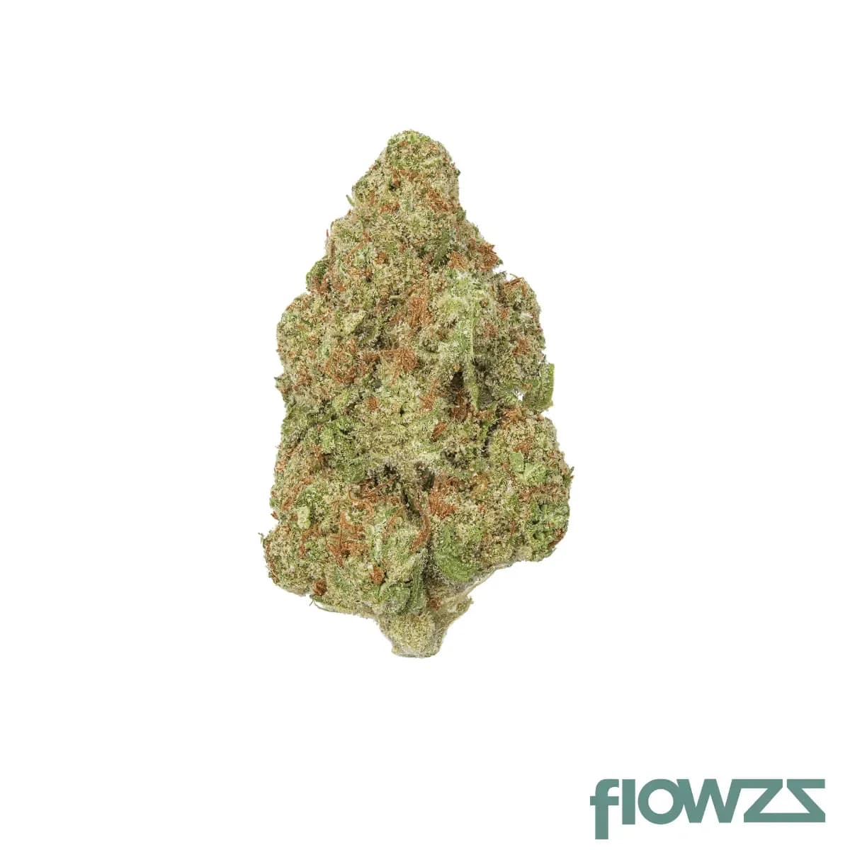 sumo-pab-29-1-papaya-bomb