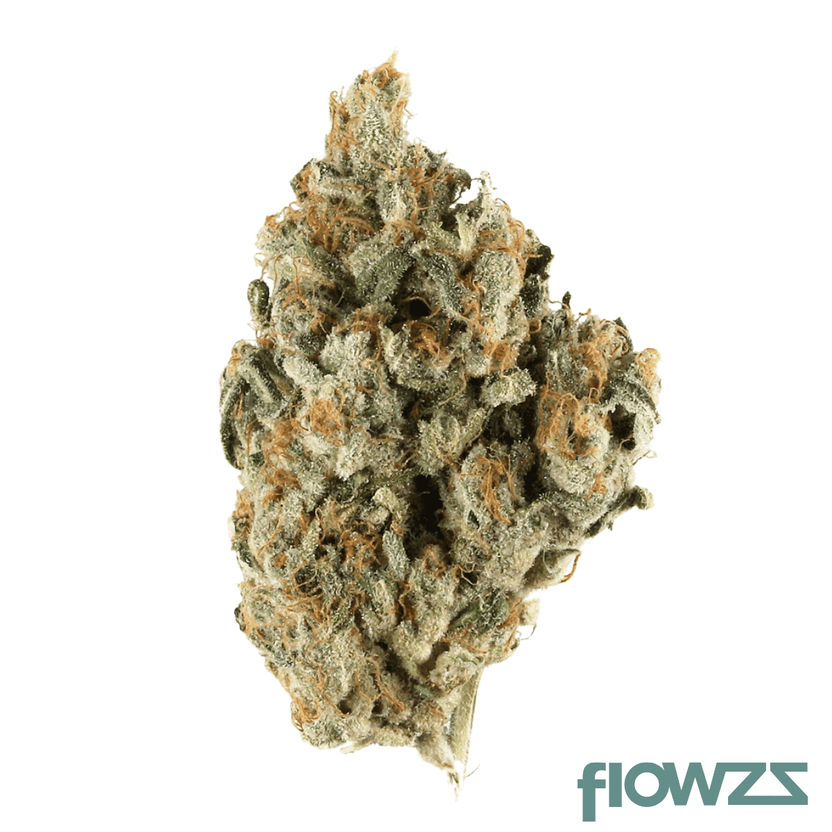 nimbus-easy-20-1-double-z