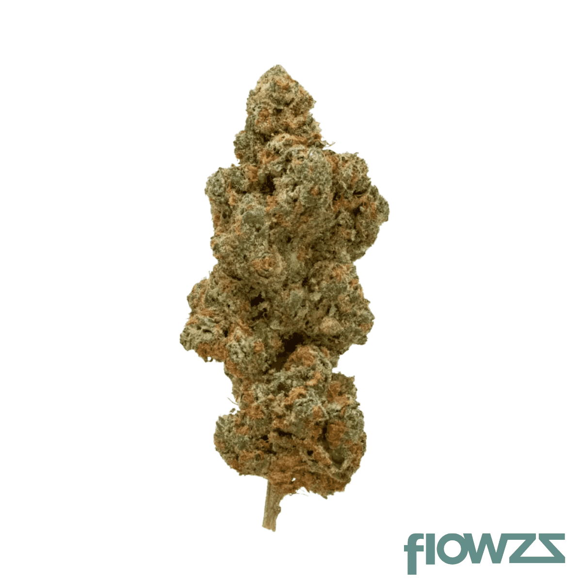 med-haze-energy-phocc-26-1-orange-coco-crunch