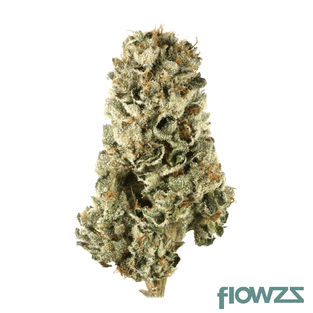 briah-lcp-27-lemon-cherry-pie