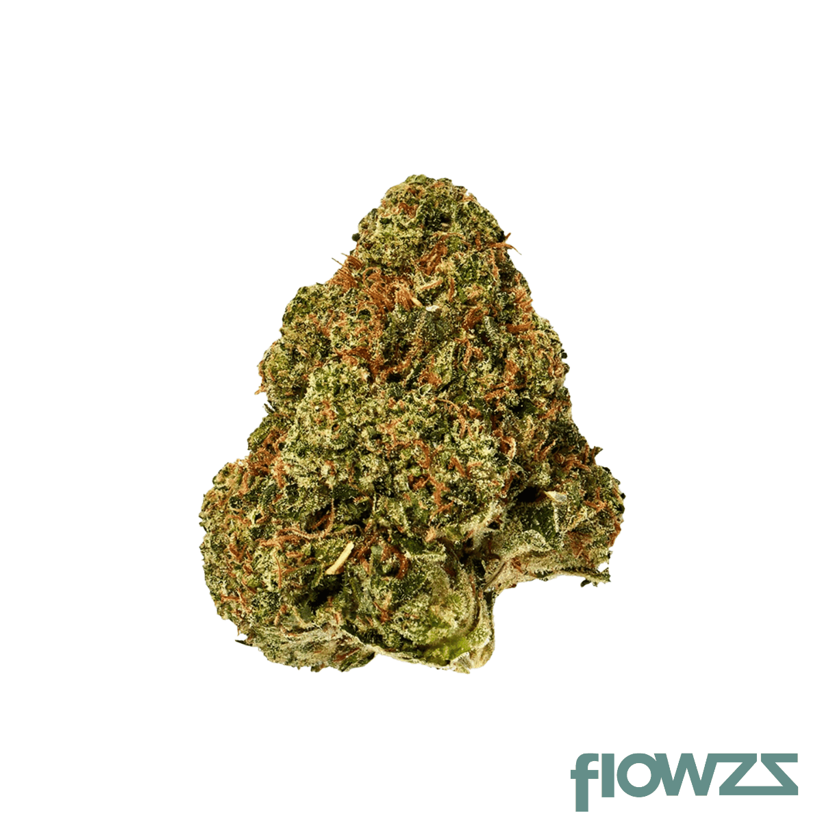 demecan-craft-aloha-31-1-98-aloha-white-widow-x-trainwreck