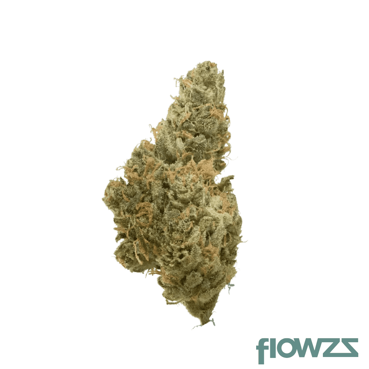 cannamedical-indica-ultra-sm-alpha-biscuit