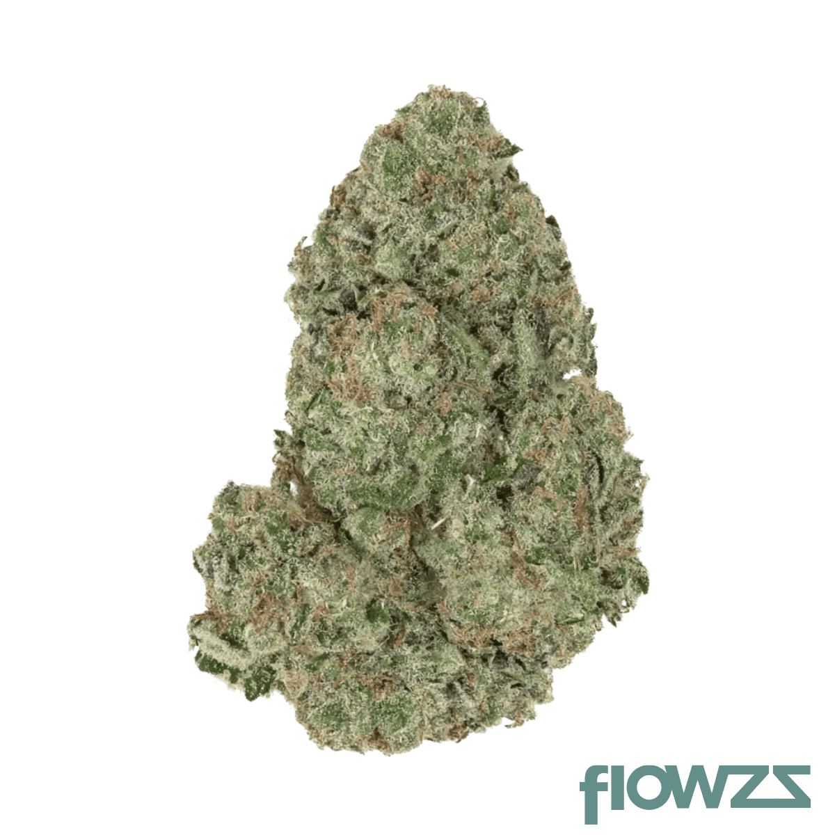slouu-22-1-agm-ca-sbh-strawberry-haze