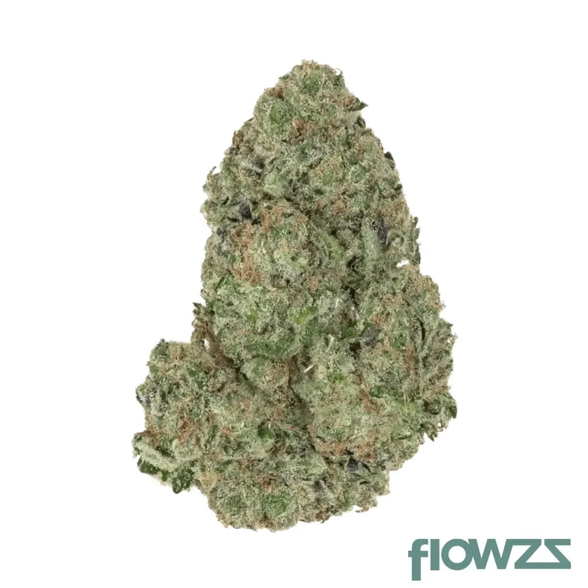 slouu-25-1-agm-ca-sbh-strawberry-haze