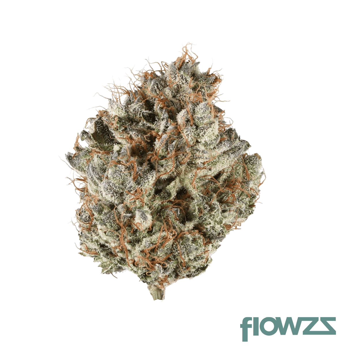 social-choice-27-1-alb-mku-mountain-kush