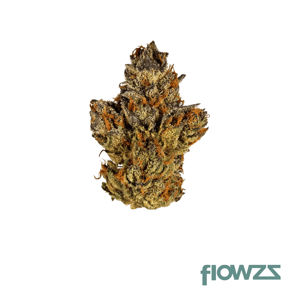 weeco-14-1-mkd-hjy-hella-jelly