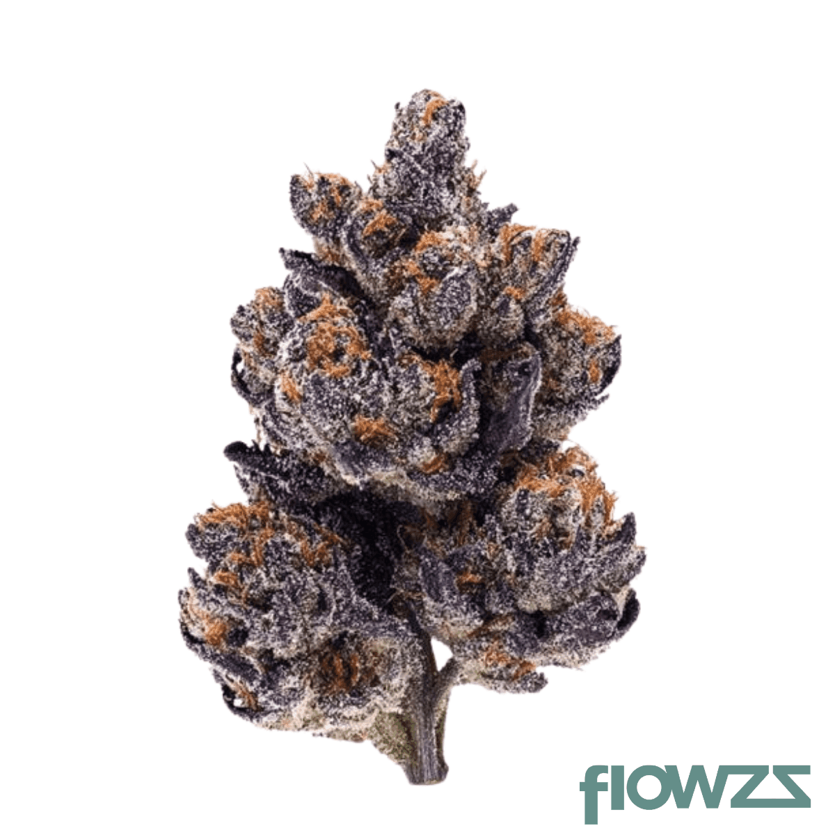 gramz-002-rc-30-1-rainbow-cake