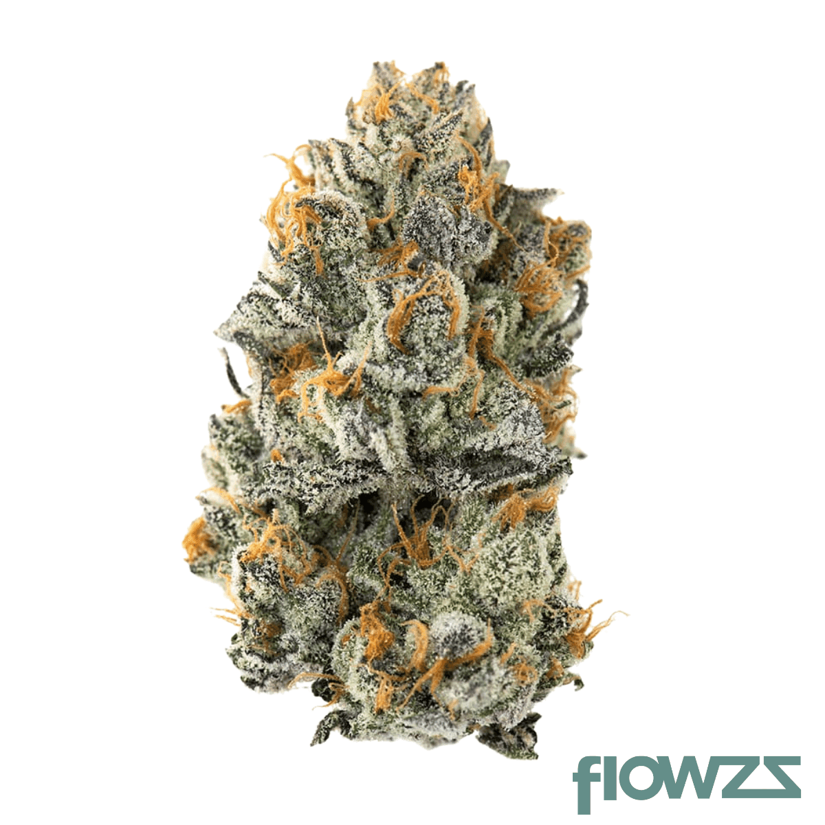 amici-29-1-yhe-cookies-gelato-yahemi