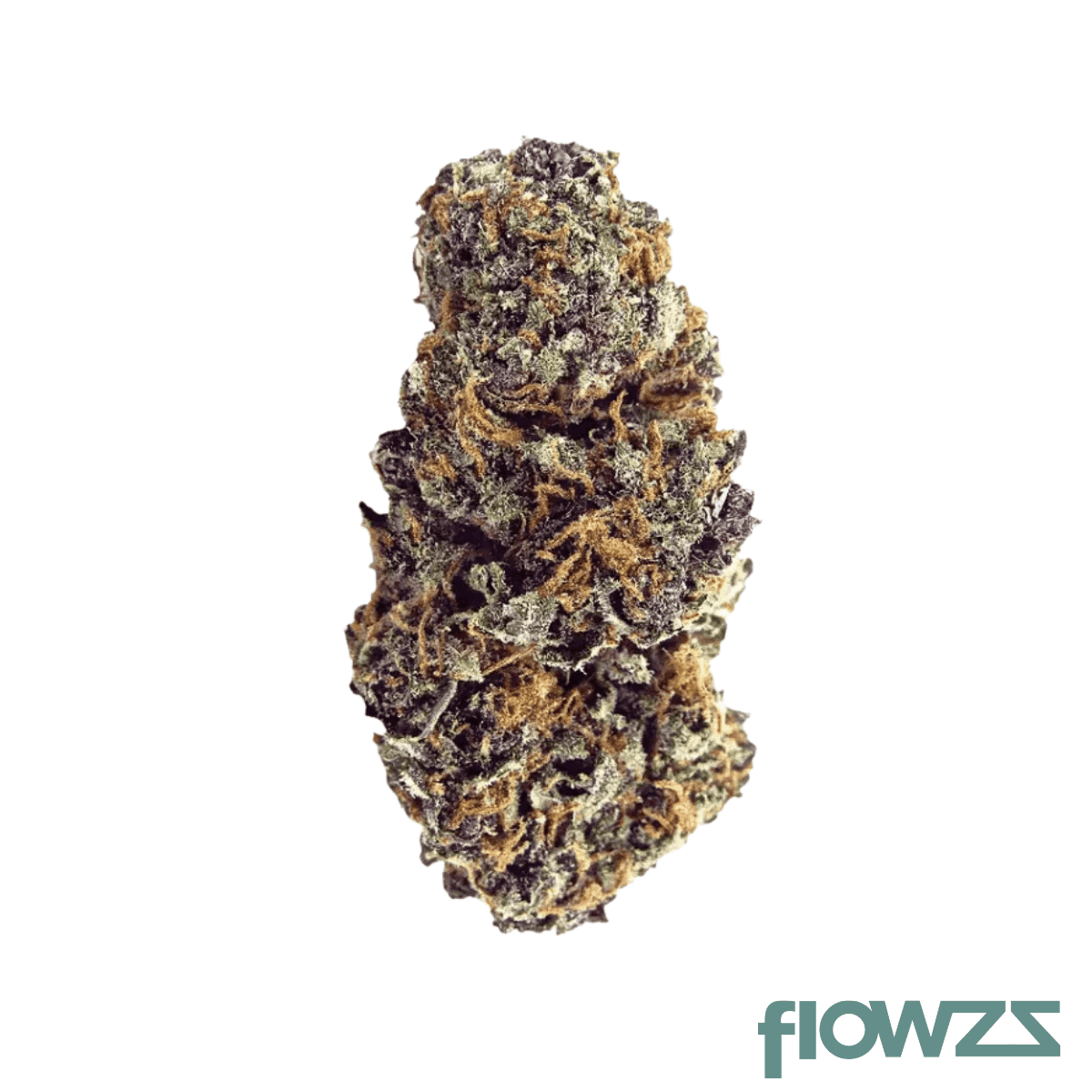 slouu-25-1-fpg-ca-frosted-platin-girl
