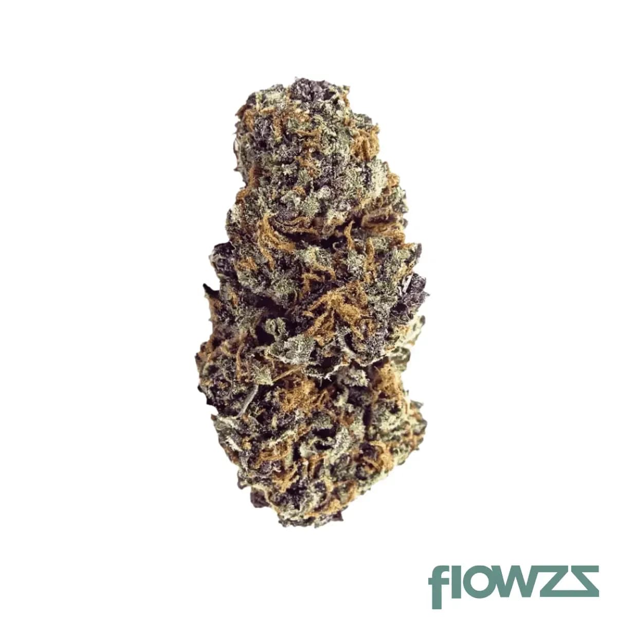 slouu-22-1-fpg-ca-frosted-platin-girl