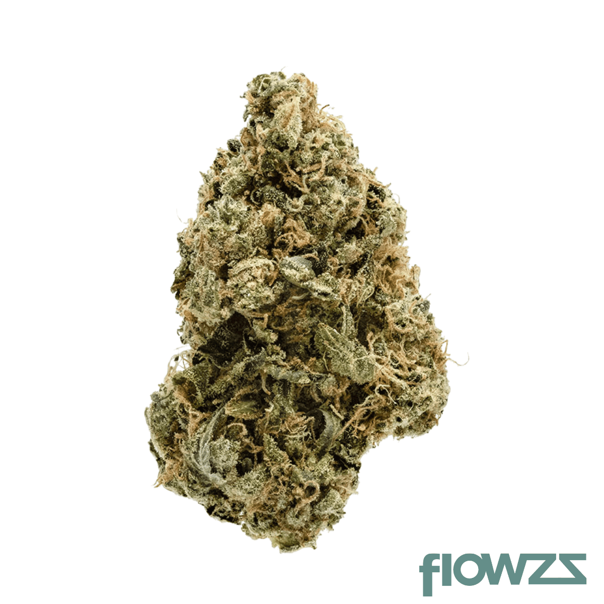 zoiks-22-1-sld-sun-lemon-diesel