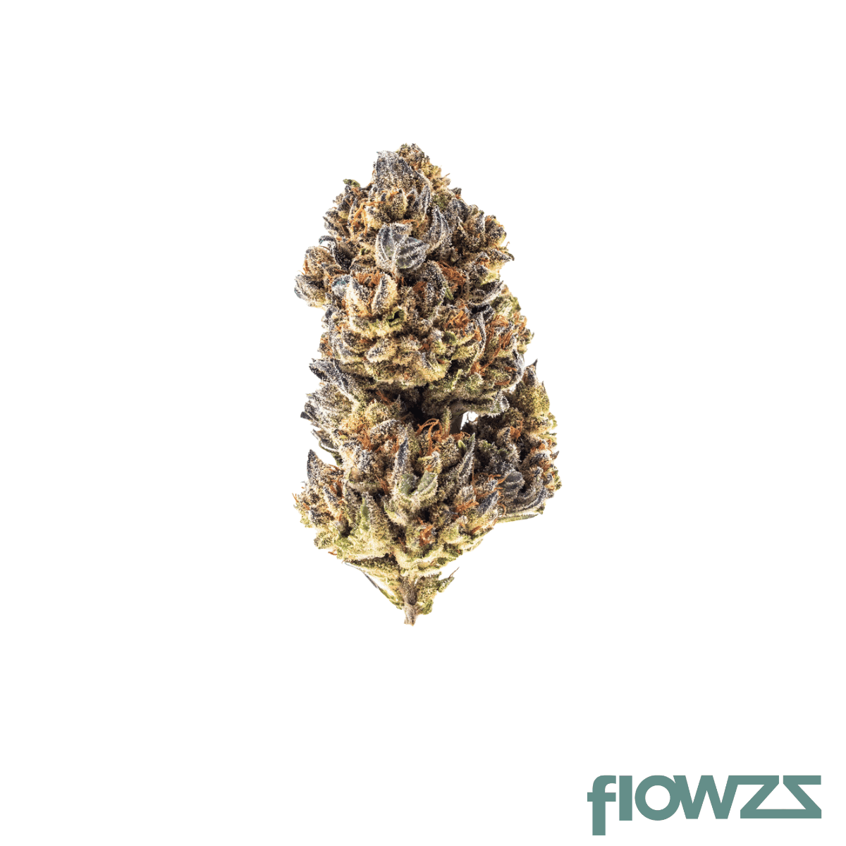 avaay-26-1-sb-sunset-berries