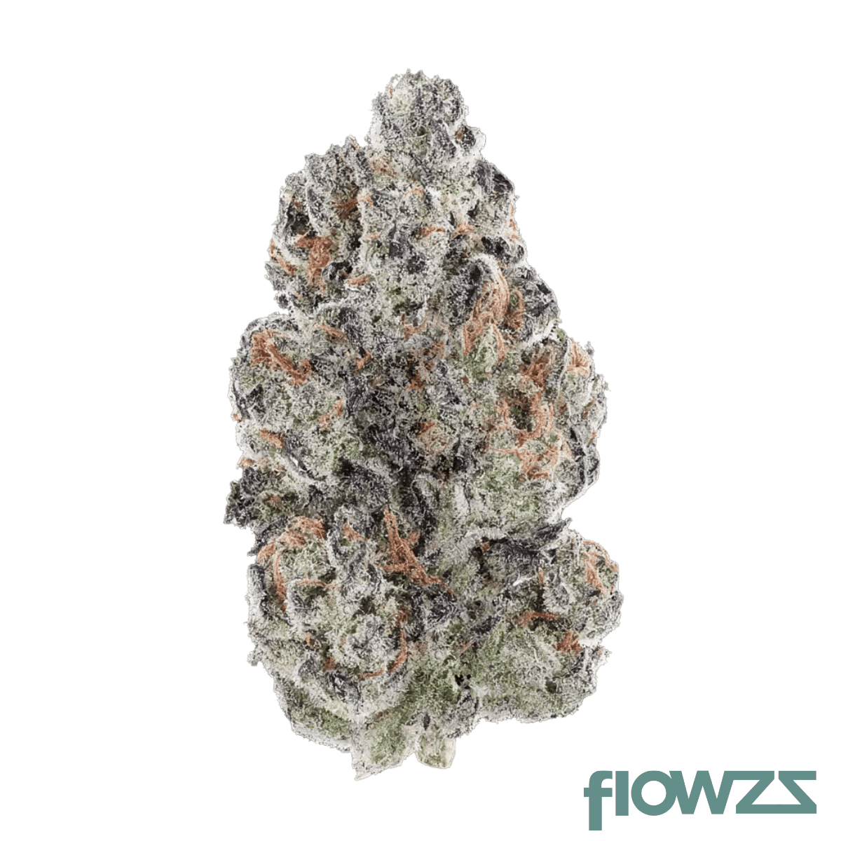 luana-24-1-driver-dosi-bow