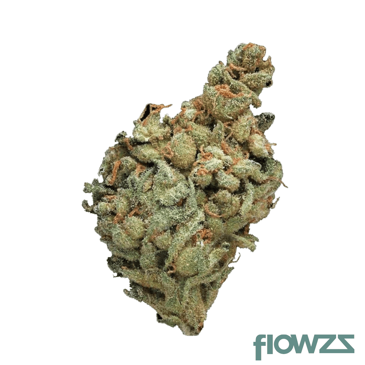 truu-ps-24-01-critical-47