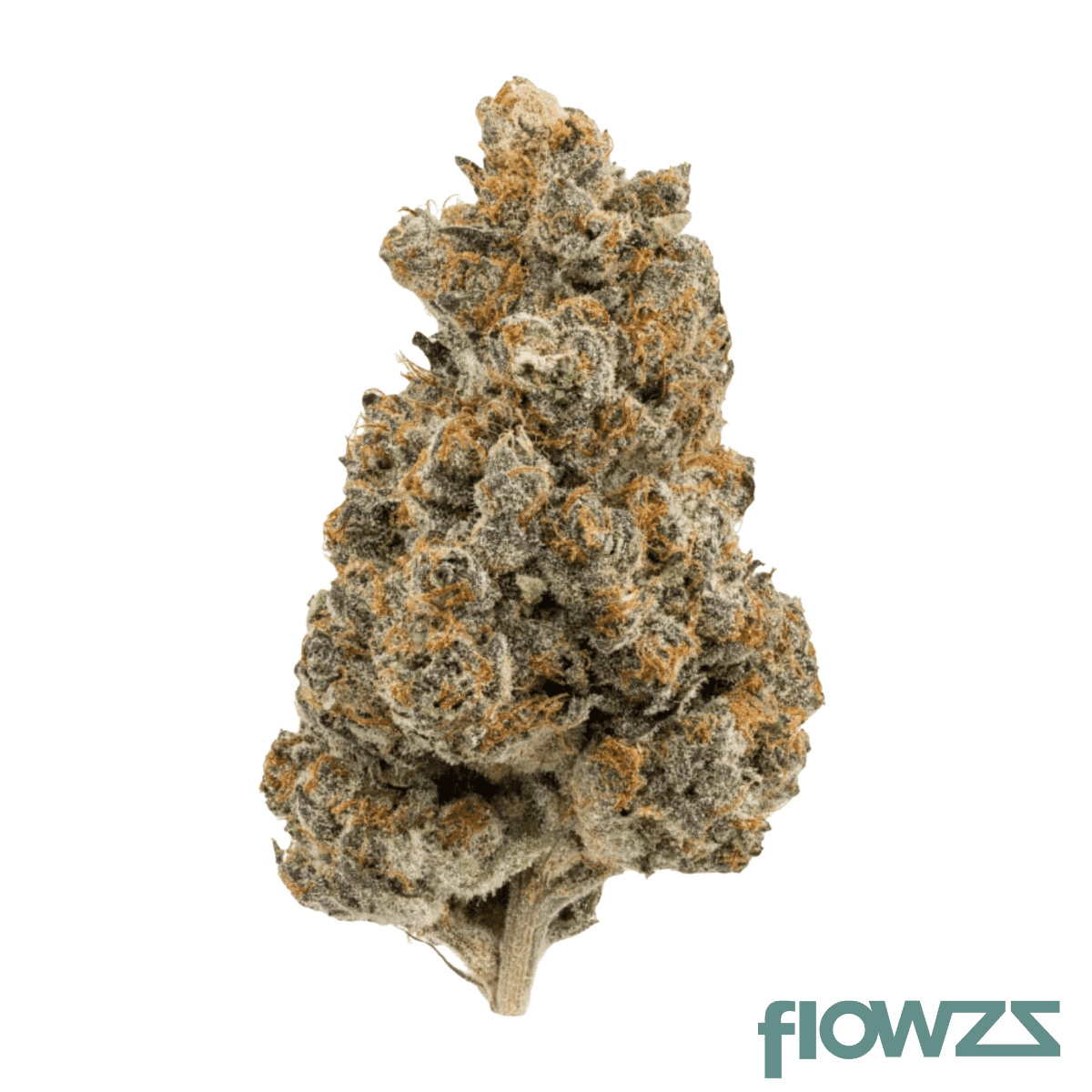 khiron-rs11-29-1-rainbow-sherbert-11