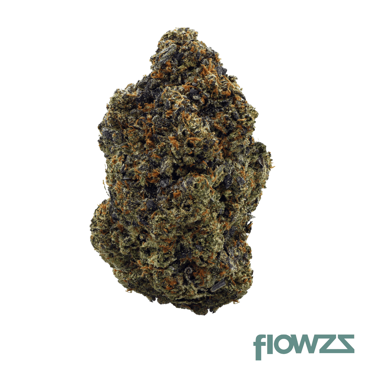 beacon-pk-t24-pink-kush