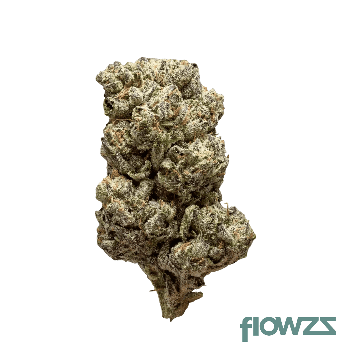 thc-akut-fb-24-km-kush-mintz