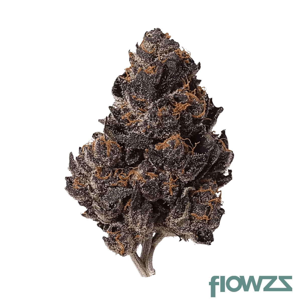 a-kineo-junglezz-24-1-wedding-cake