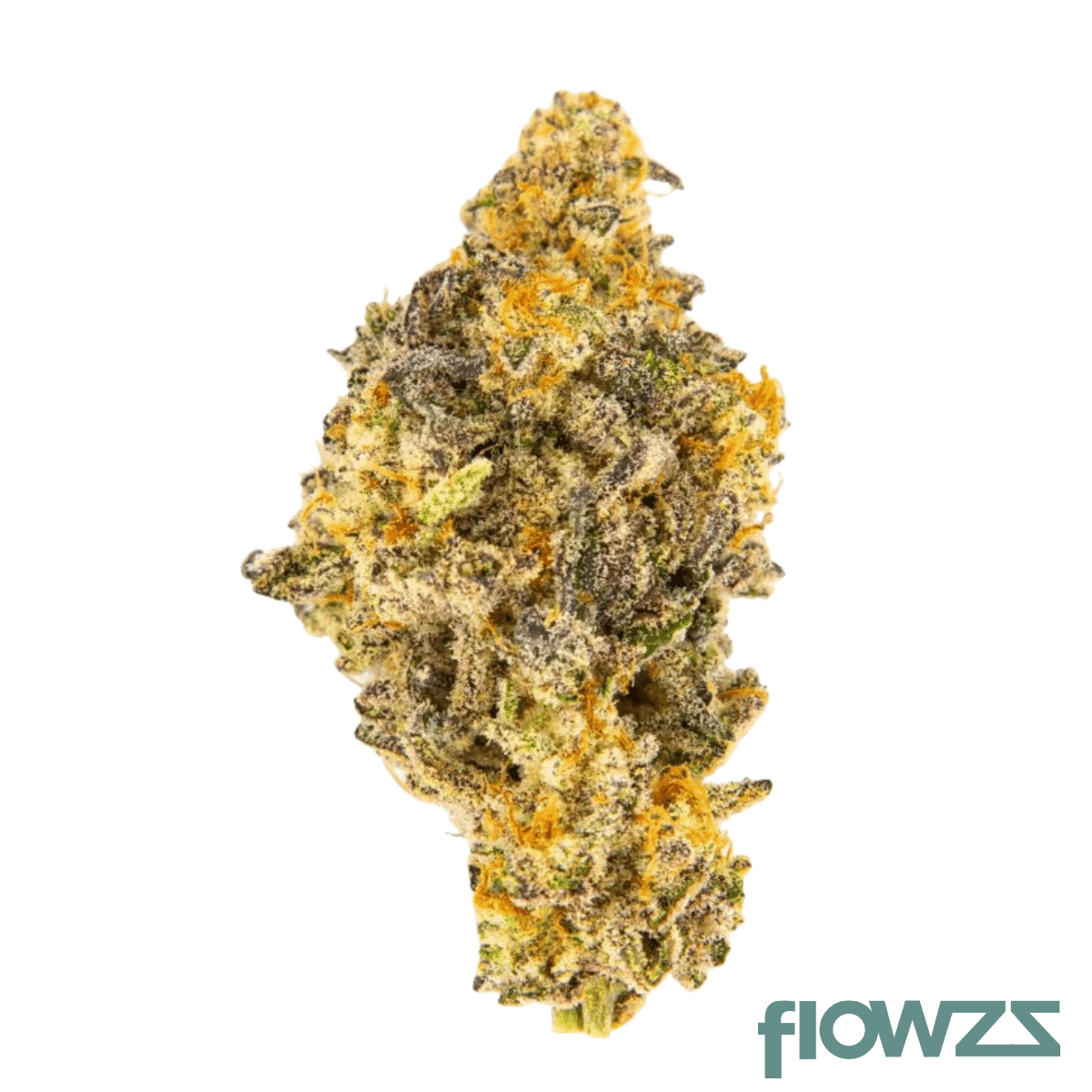 avaay-26-1-mco-macs-cookies