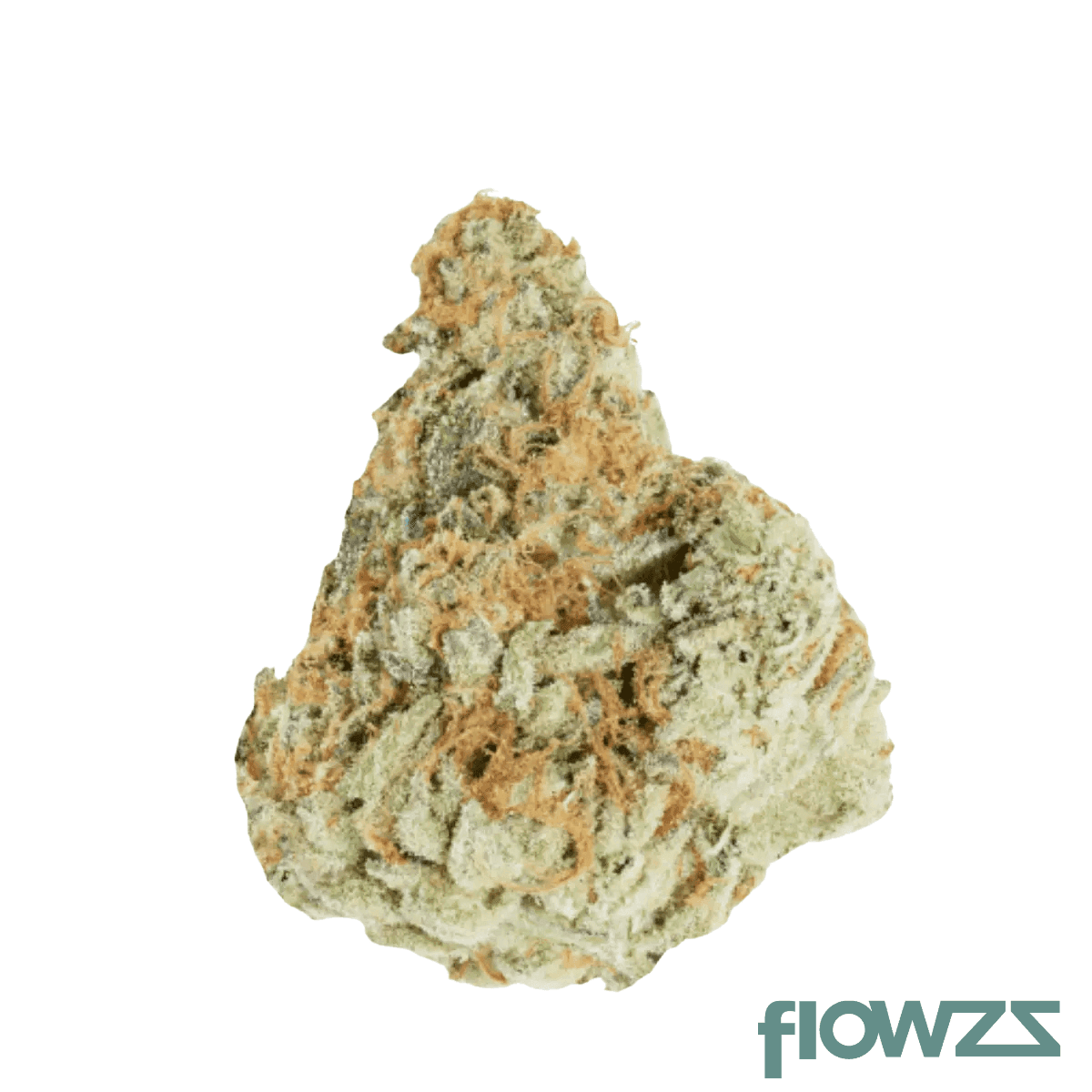 nice-32-1-mos-morning-sun