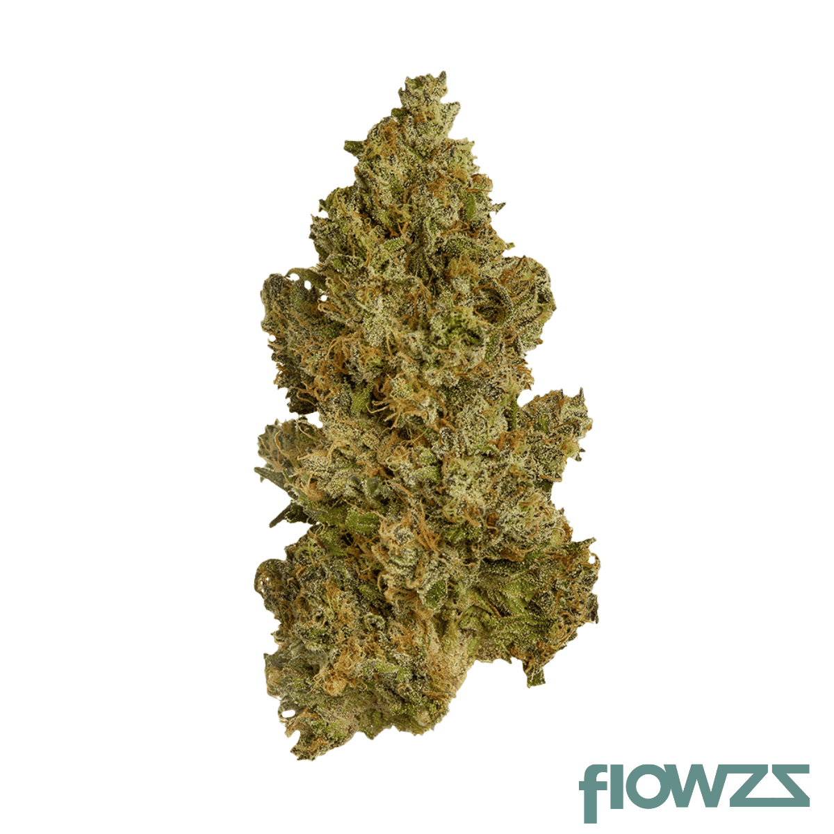 enua-27-1-cym-ca-cherry-mints