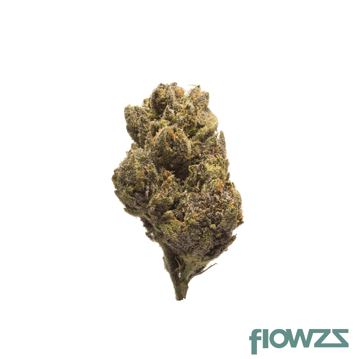 Suprobion PC 22/1 Purple Cookie