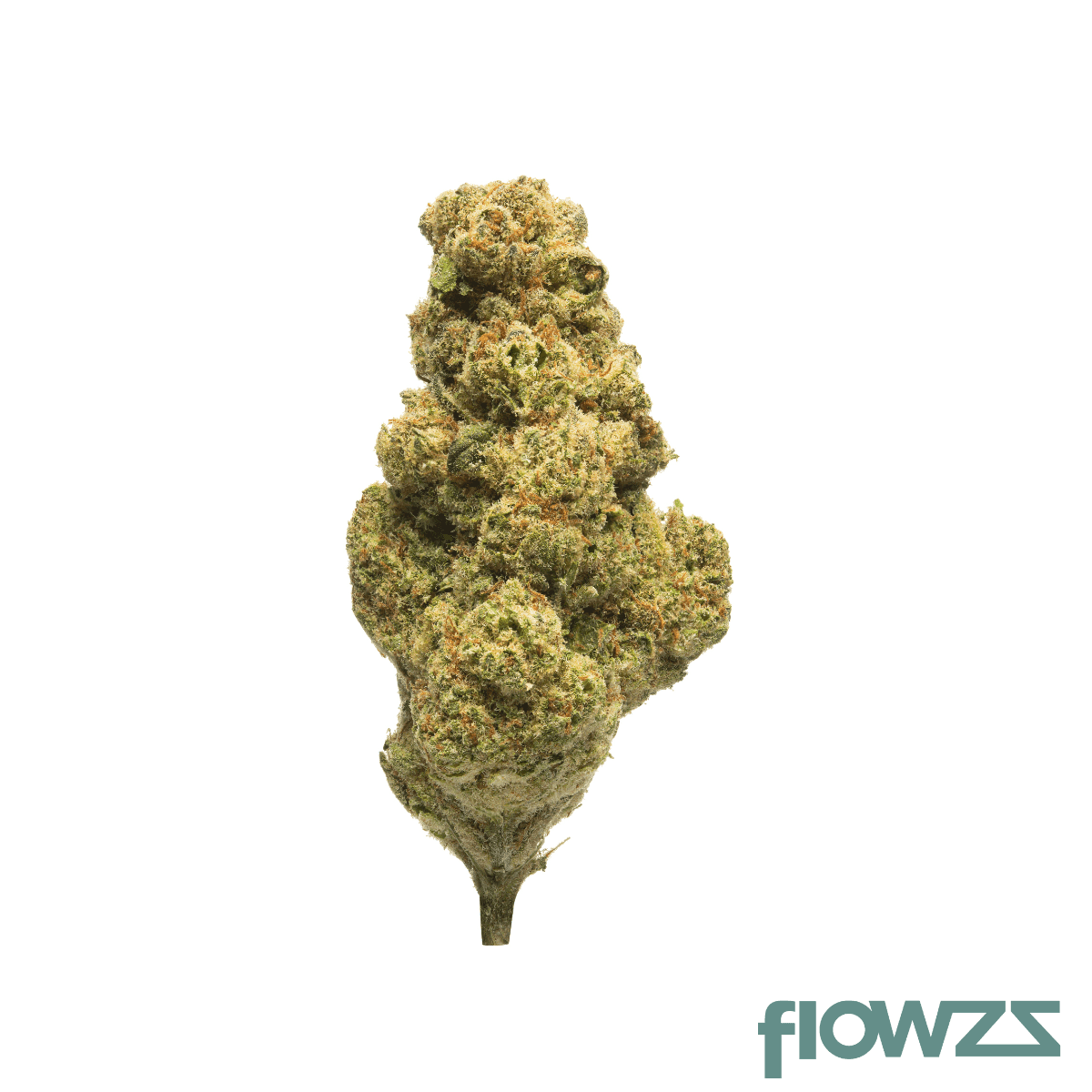 Suprobion PB 22/1 Papaya Bomb