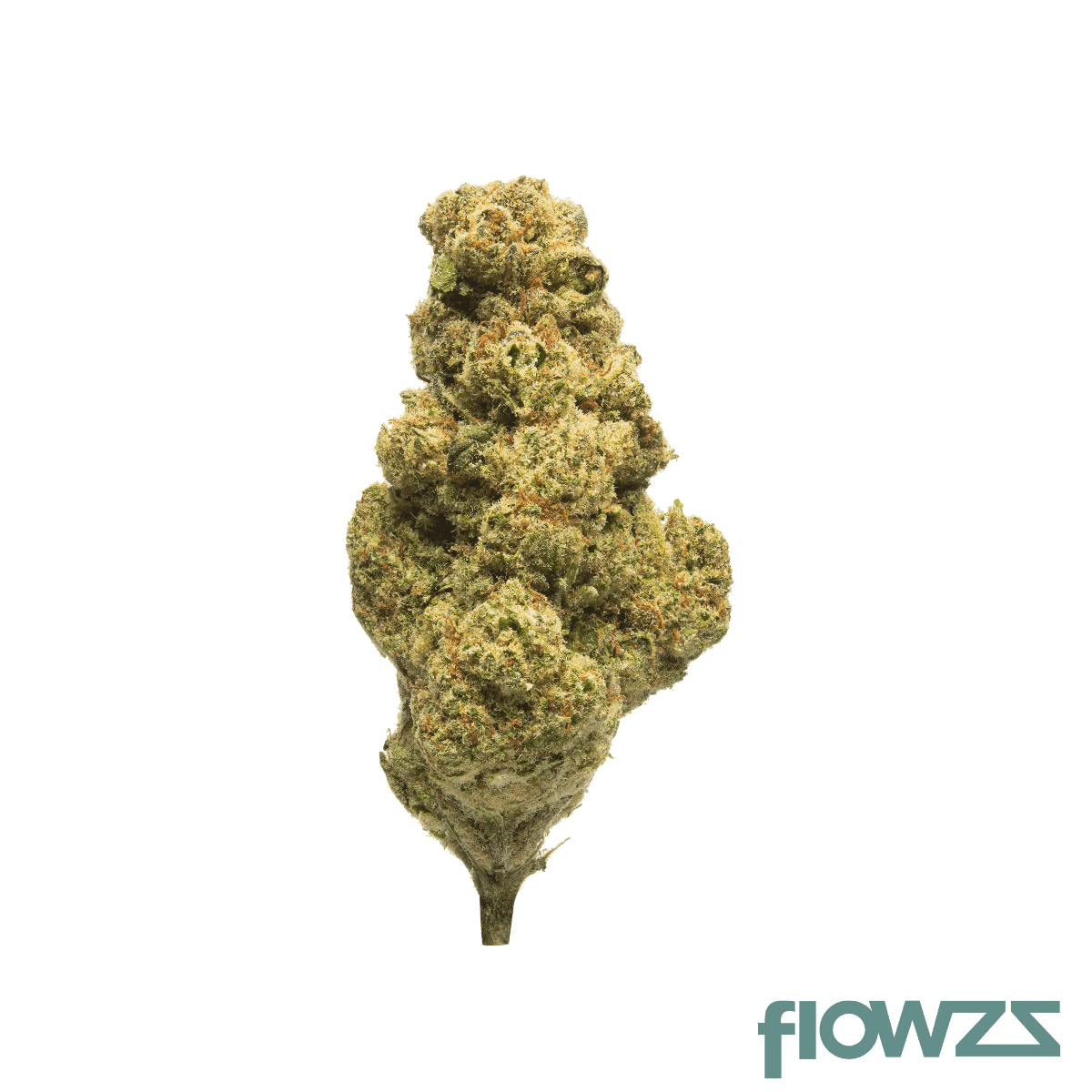suprobion-pb-18-1-papaya-bomb