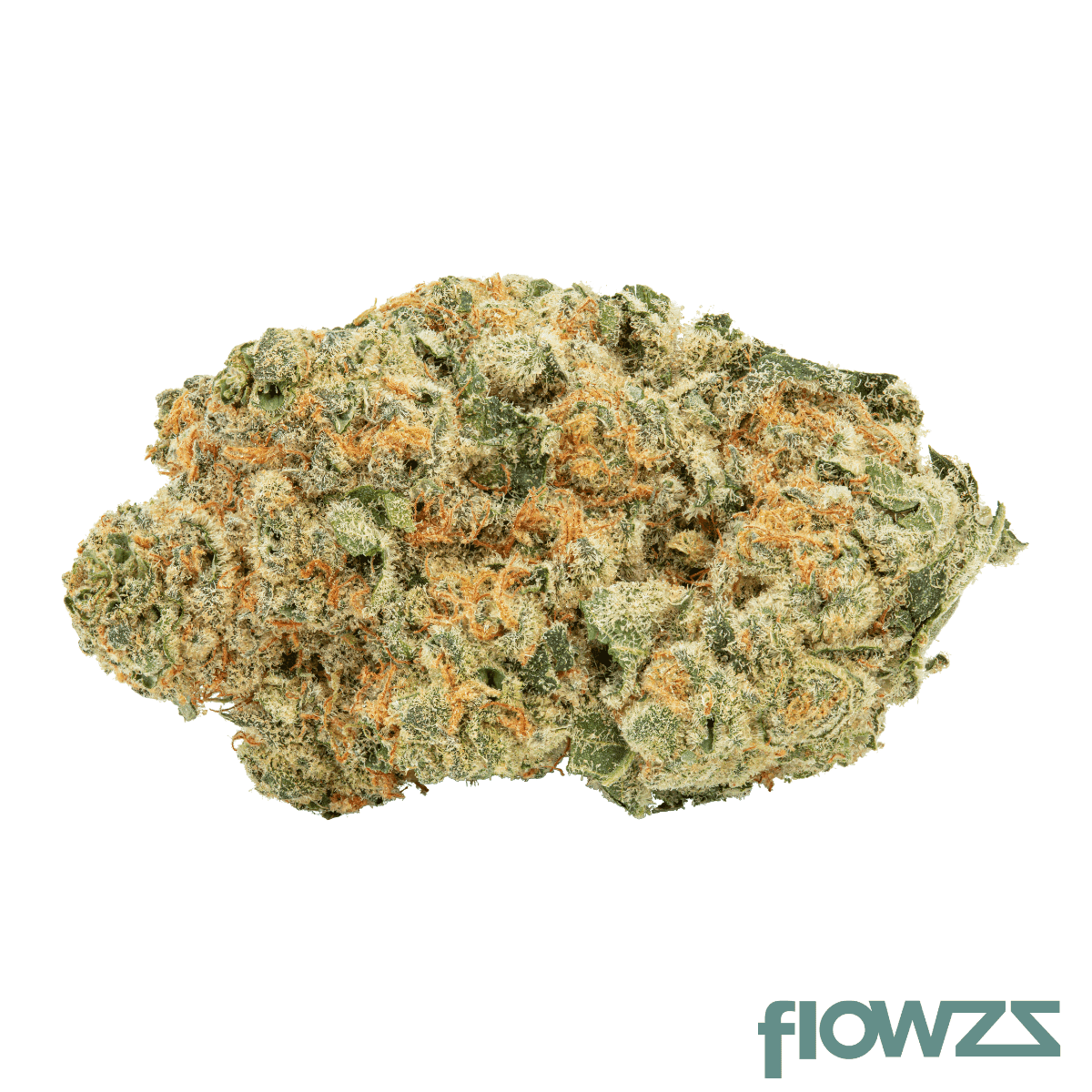 ZOIKS 18/1 MN Moonlight Nectar Neu