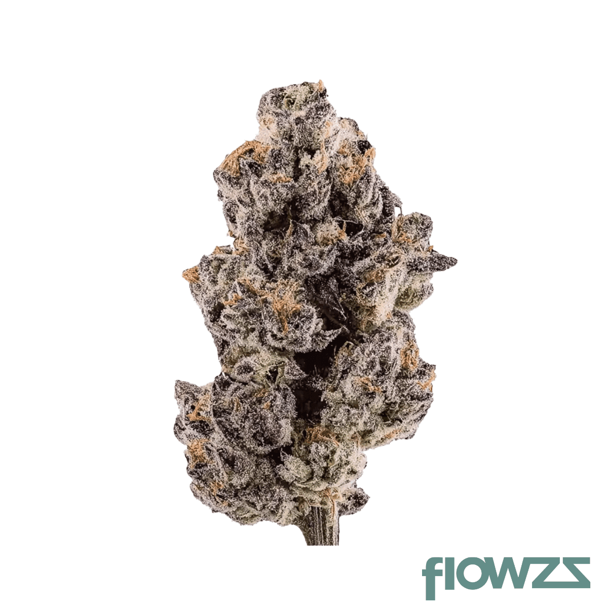 good-supply-thc15-spc-space-cake