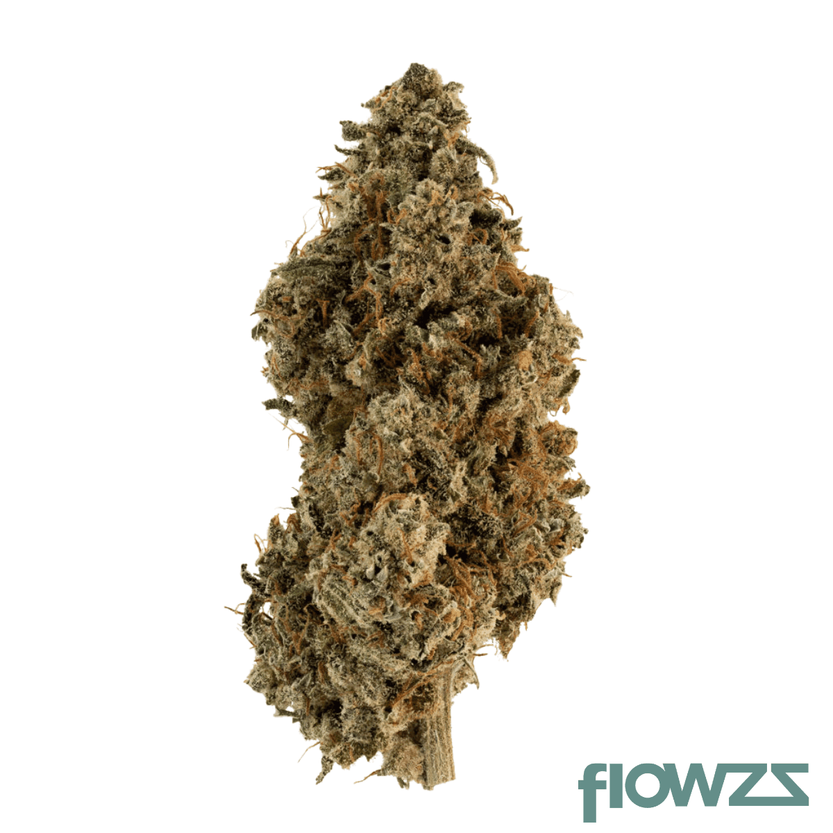 wildlife-24-gb-can-glueberry