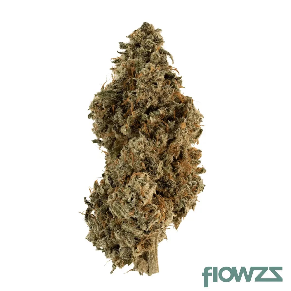 wildlife-22-gb-can-glueberry