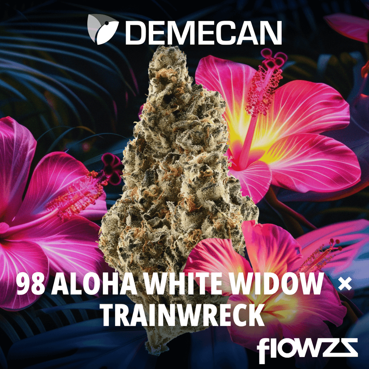 Demecan Craft Aloha 34/1 98 Aloha White Widow x Trainwreck