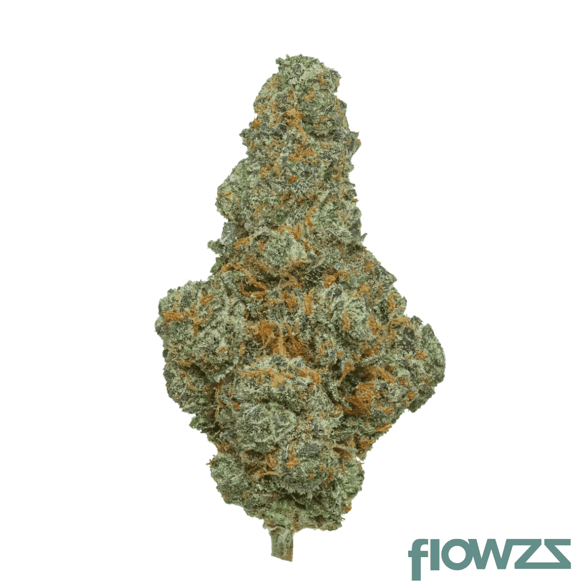 thc-akut-23-bf-blunicorn