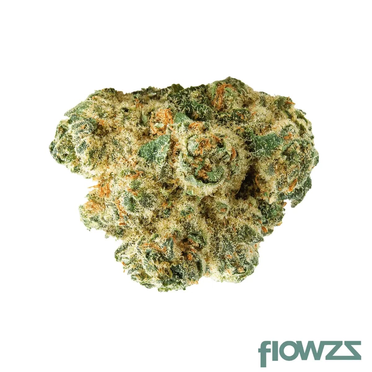 nice-25-1-lp-lotus-punch