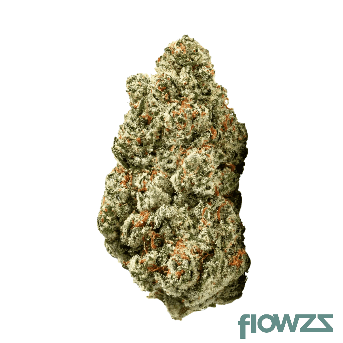 zoiks-31-1-sr-space-rider