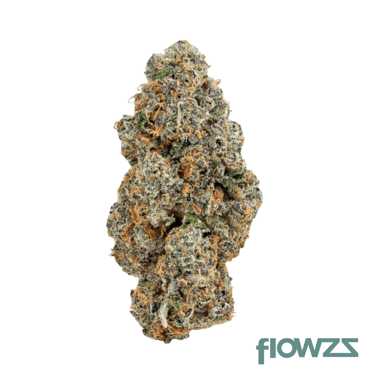 thc-akut-ohs-22-drama-queen
