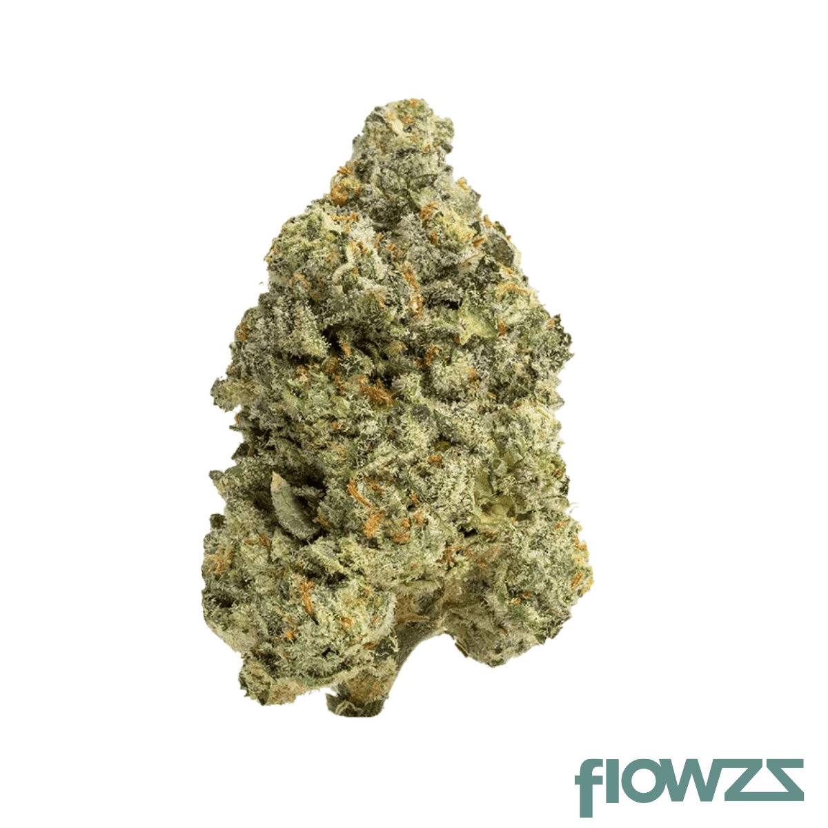 mh-slg-blackscotti-18-1