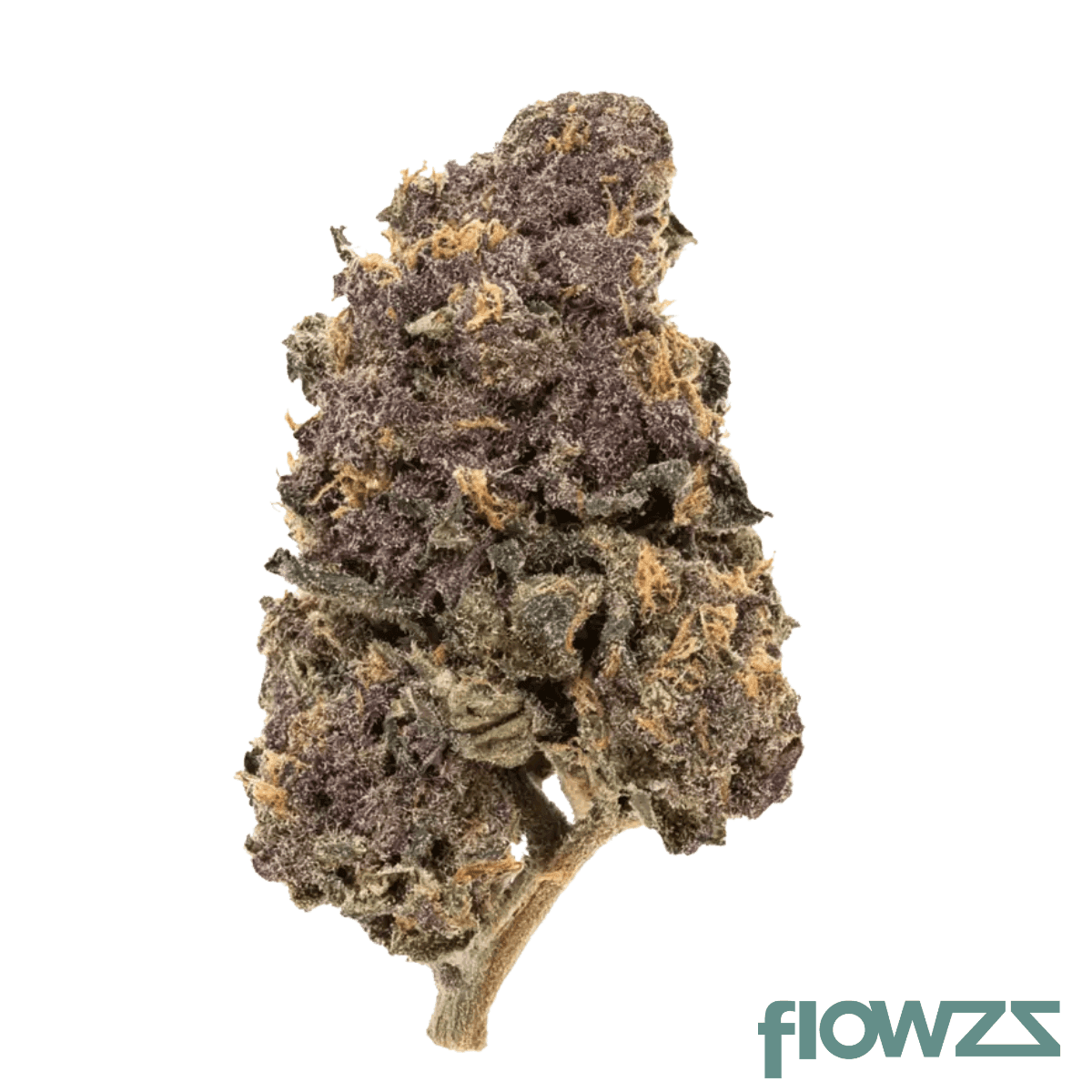 apollo-26-1-mid-marmalade