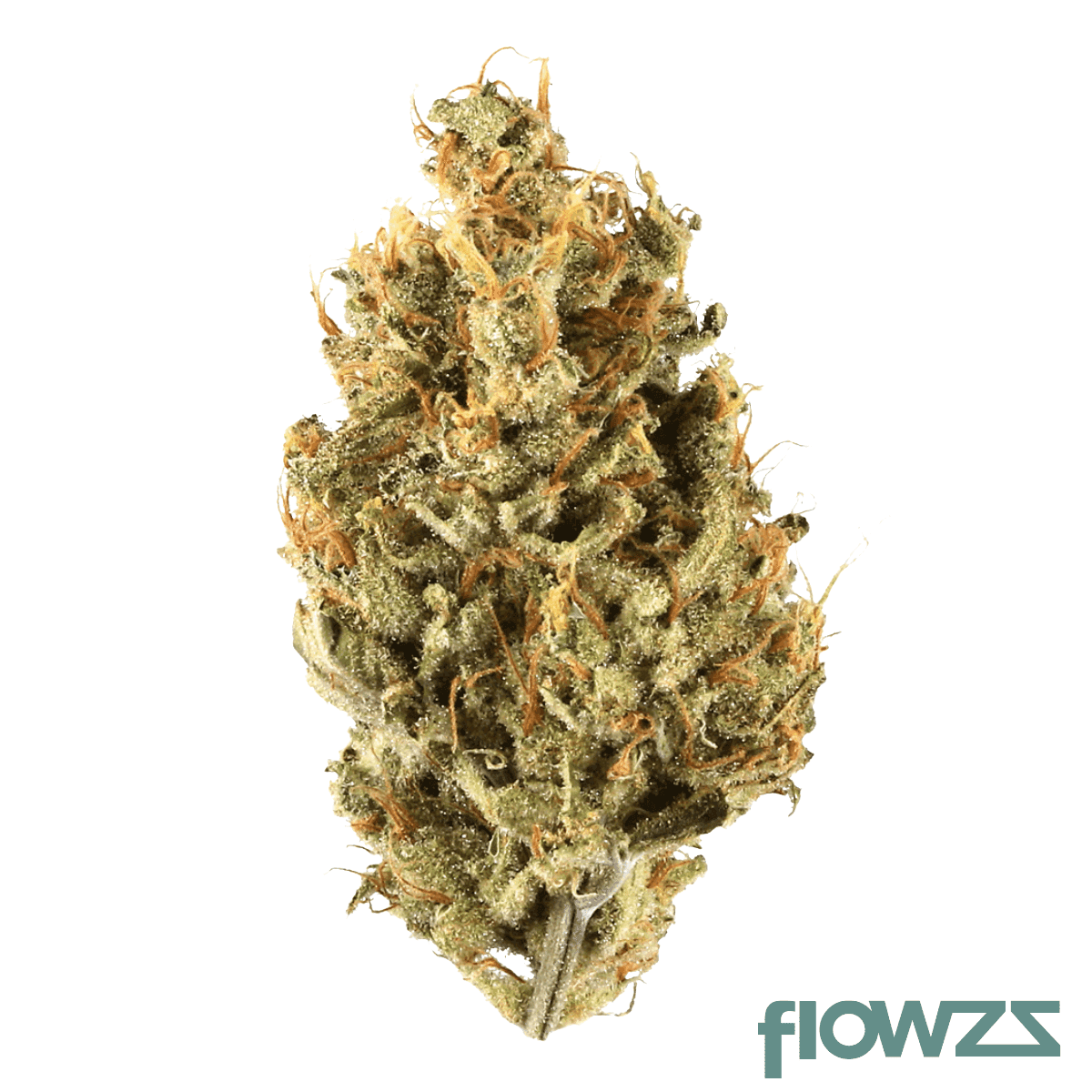 demecan-core-og-23-1-og-kush