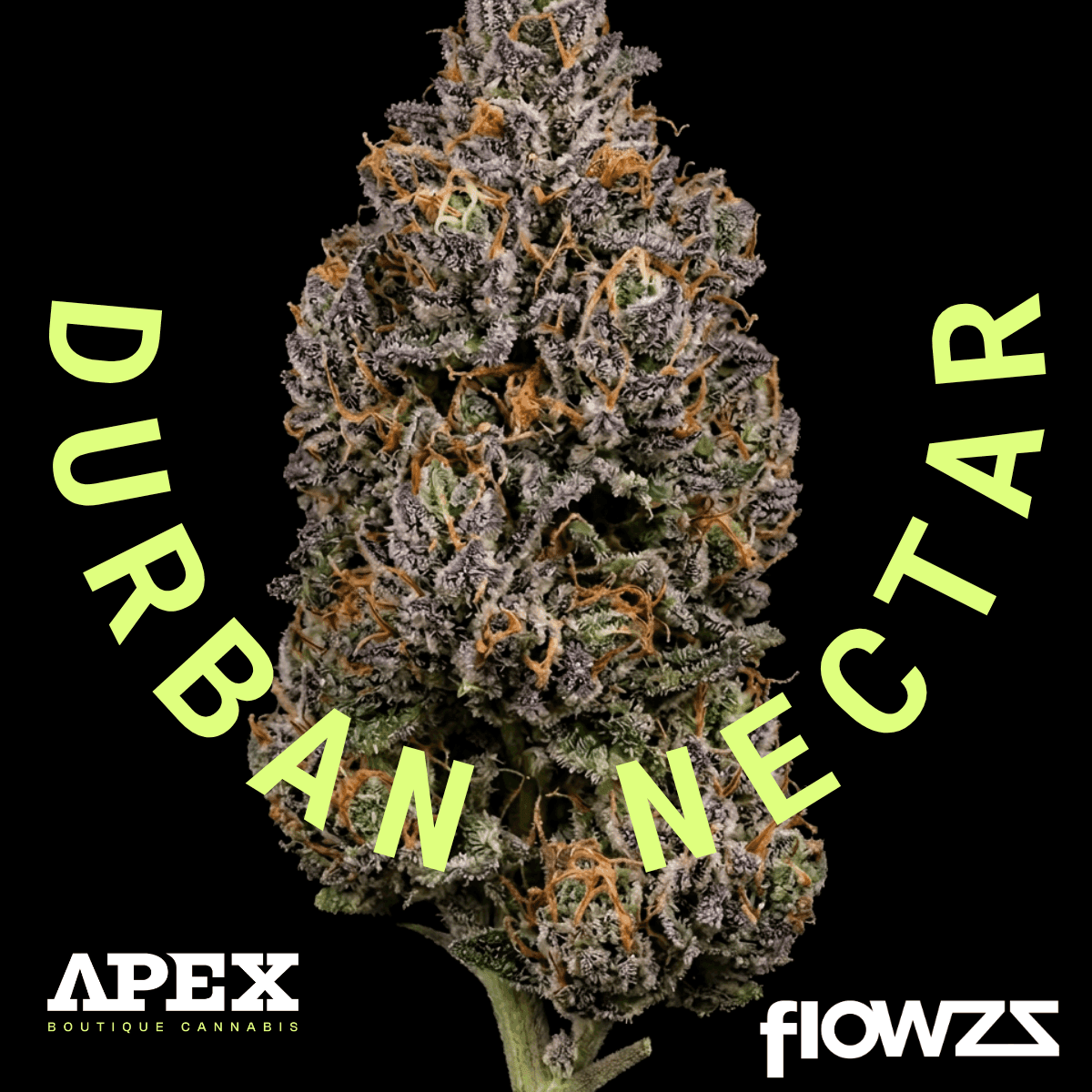 Apex DNC CA 35/1 Durban Nectar