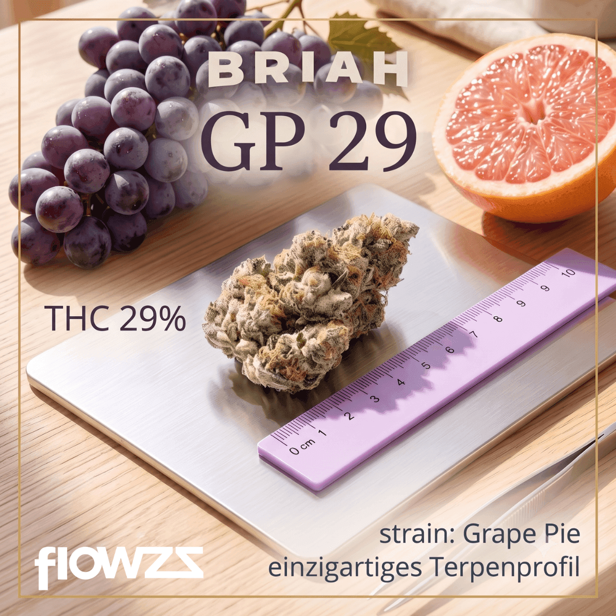 Briah GP 29 Grape Pie