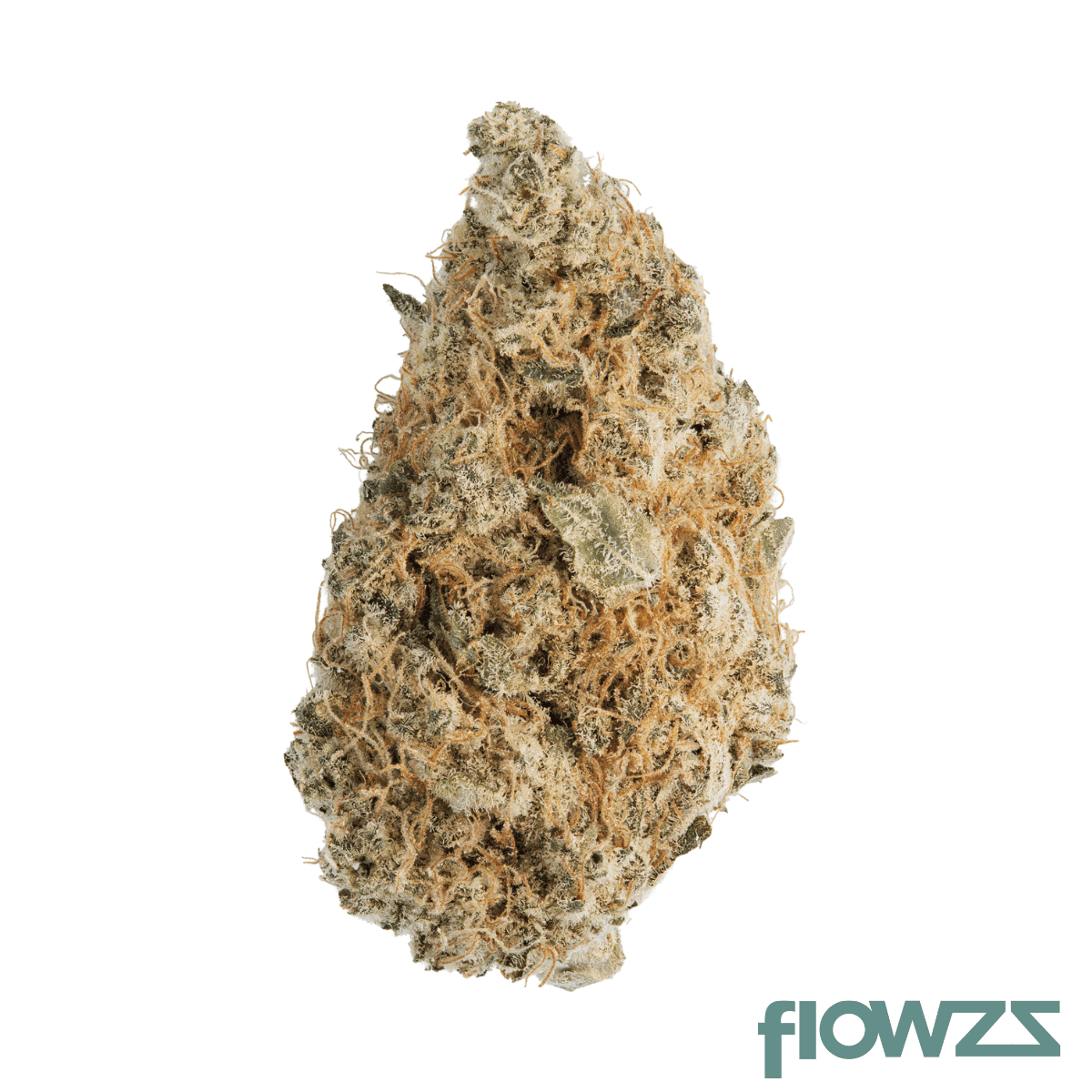 Canify 24/1 CZE Platinum Garlic