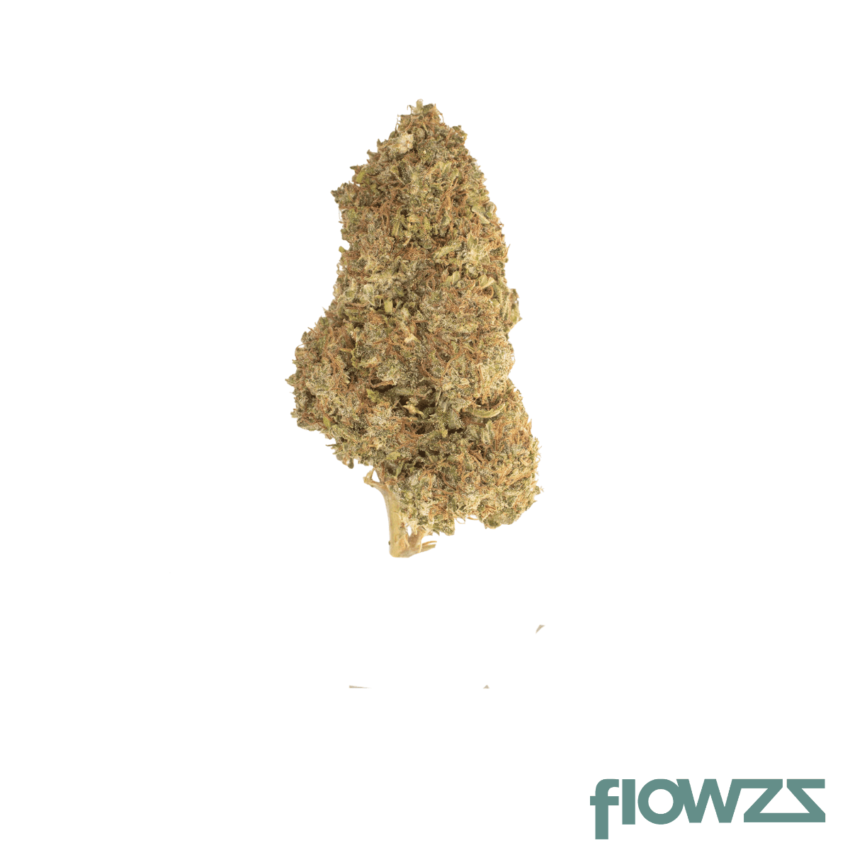 cannamedical-indica-ultra-sm-alpha-biscuit