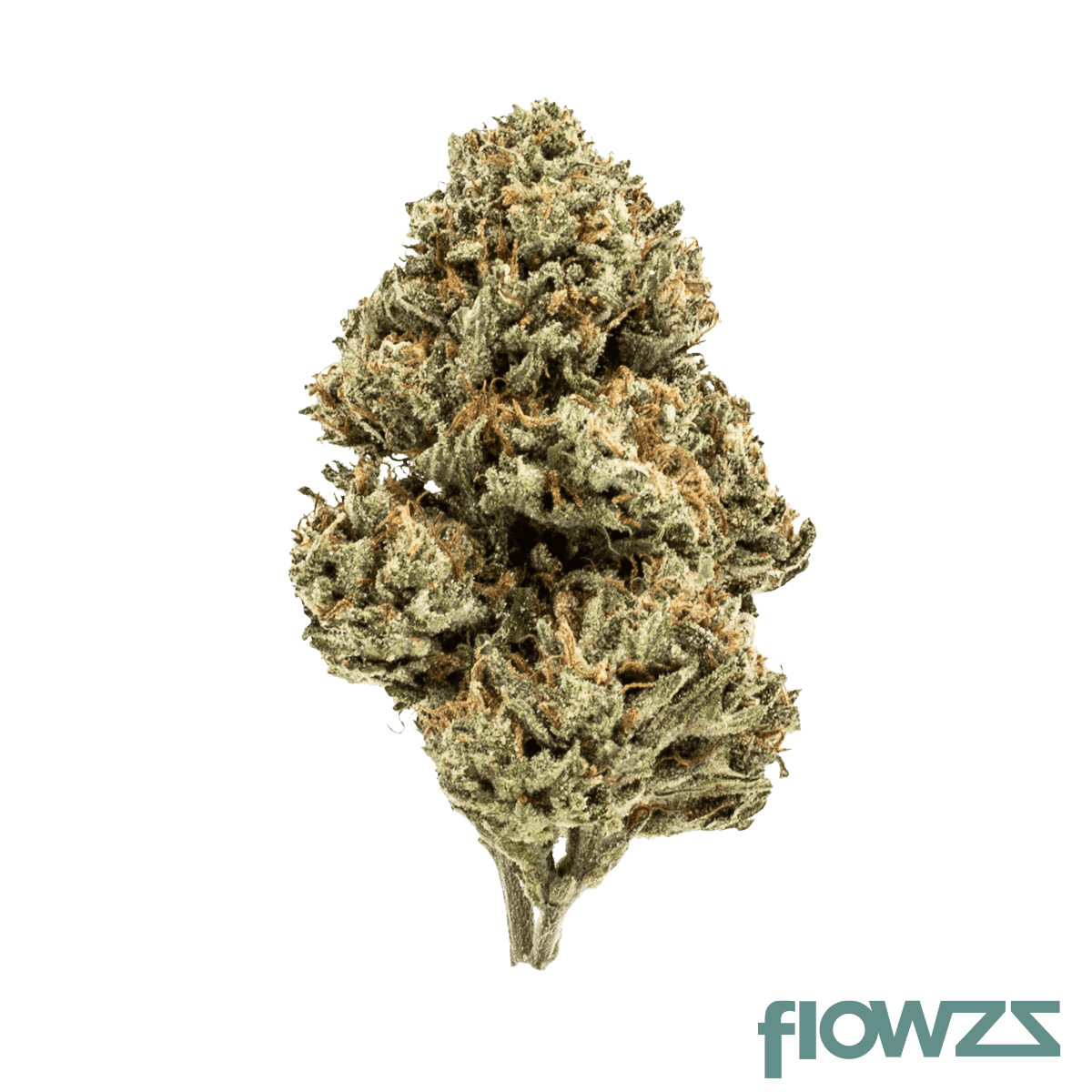 enua-30-1-cns-ca-cush-n-smoke