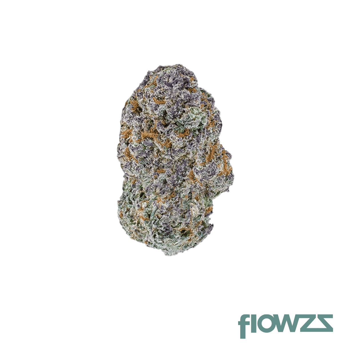 origine-nature-med-25-1-medellin