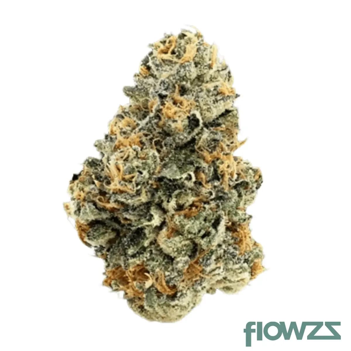nice-26-1-gba-guava-barz
