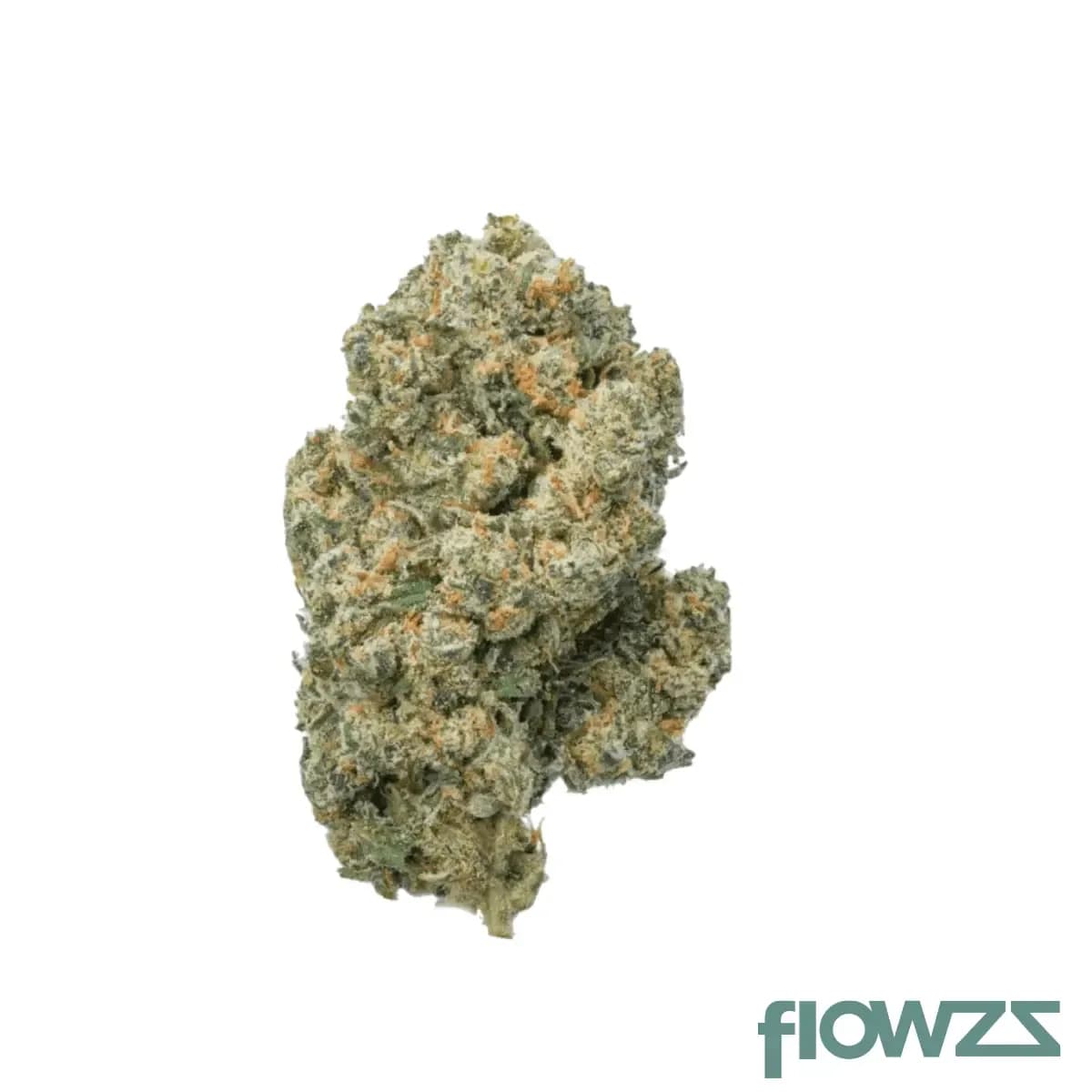 cannamedical-sativa-forte-sa-jack-herer