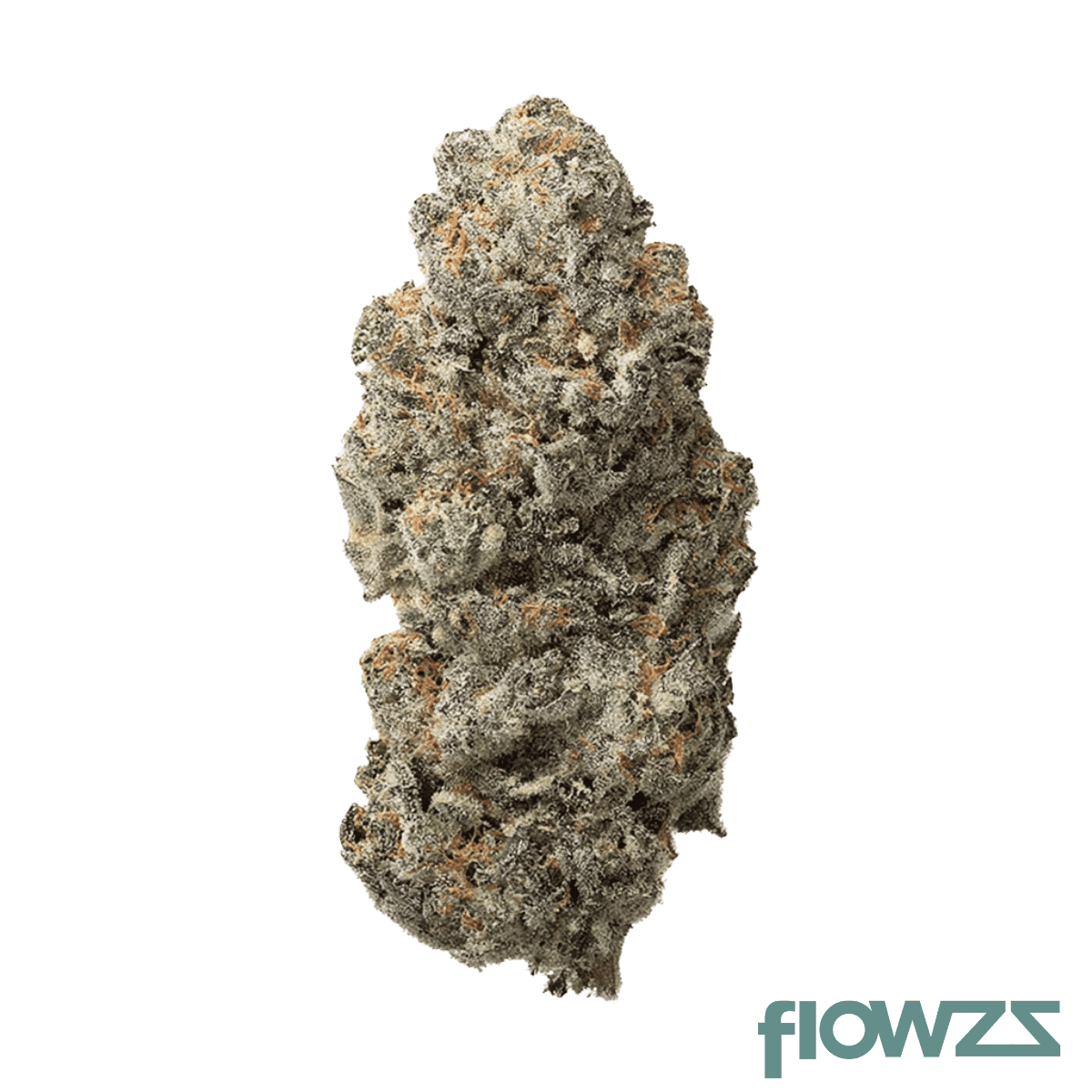 mediprocan-pine-peak-21-1-blunicorn