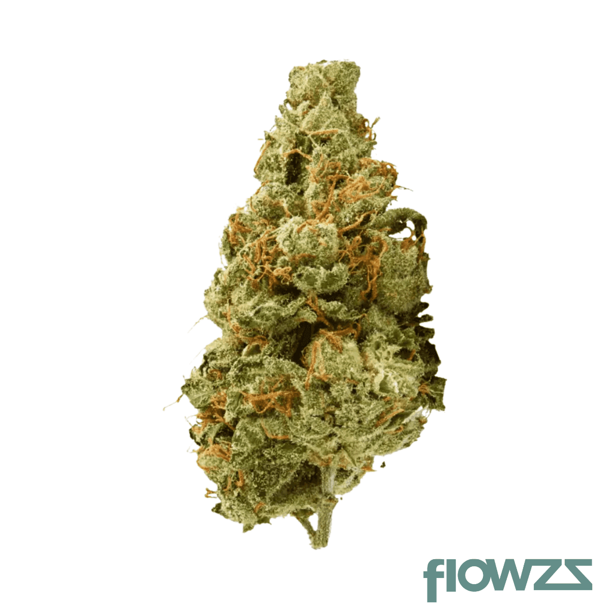 demecan-core-golden-horizon-30-1-golden-goat